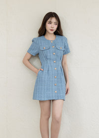COLETTE TWEED DRESS